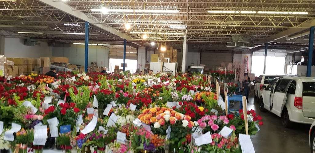 Dr Delphinium Designs Corporate Headquarters | 9200 John W. Carpenter Fwy, Dallas, TX 75247, USA | Phone: (214) 522-9911