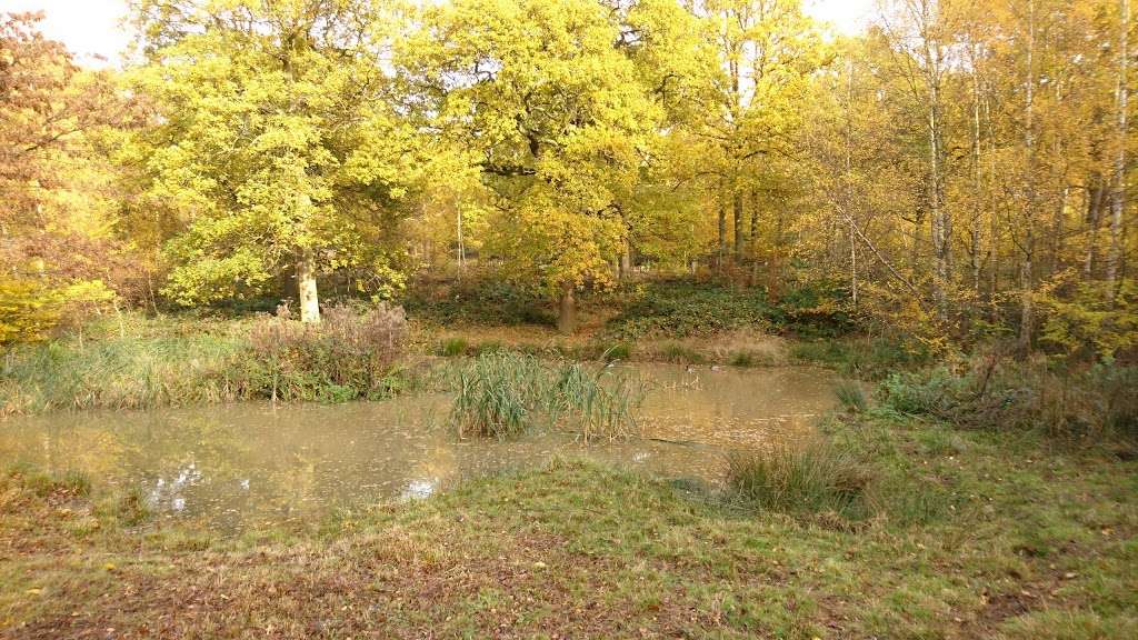 Parndon Wood Nature Reserve | Harlow CM19 4SF, UK | Phone: 01279 430005