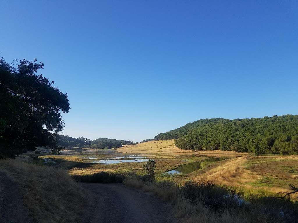 Rush Creek Preserve | Basalt Creek,, Novato, CA 94945, USA