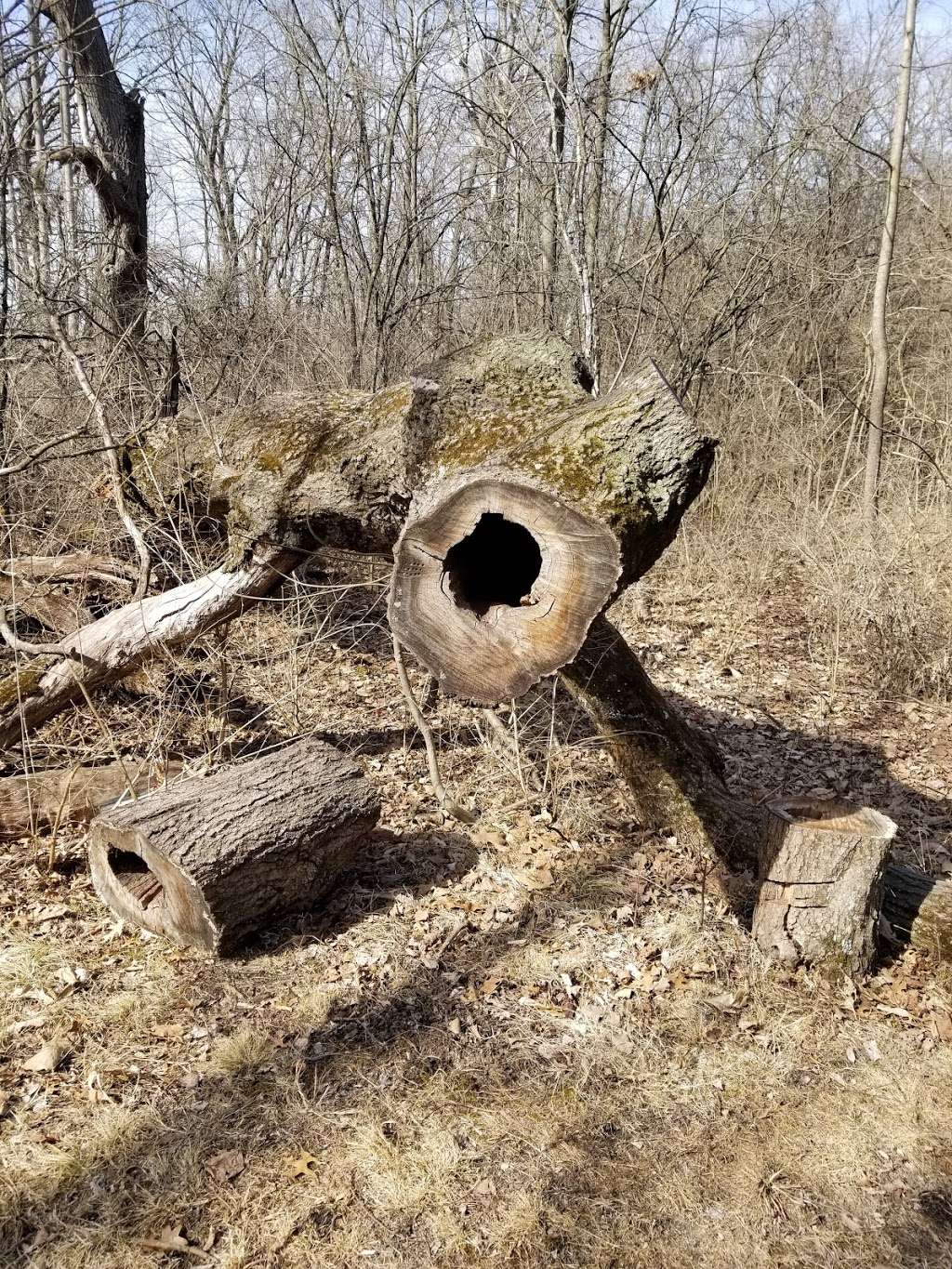 Rush Creek Conservation Area | 20501 McGuire Rd, Harvard, IL 60033, USA | Phone: (815) 338-6223