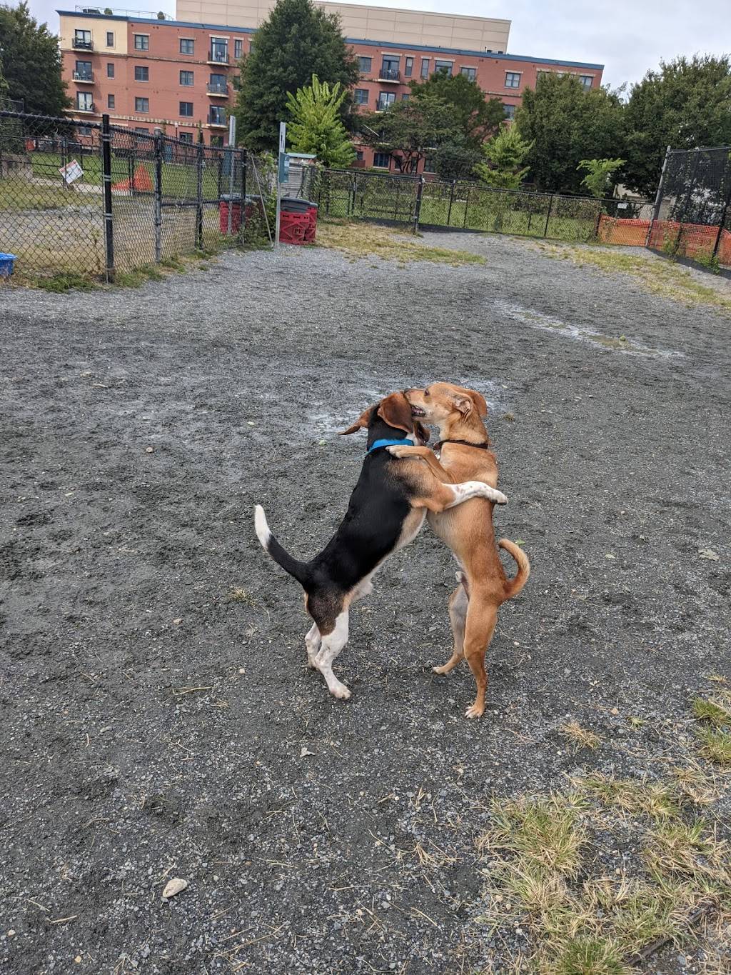 Kingsman Field Dog Park | D St NE, Washington, DC 20002, USA | Phone: (202) 715-3879