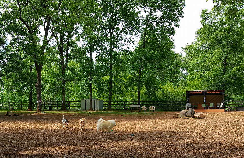 Vint Hill Dog Park | 4263 Aiken Dr, Warrenton, VA 20187