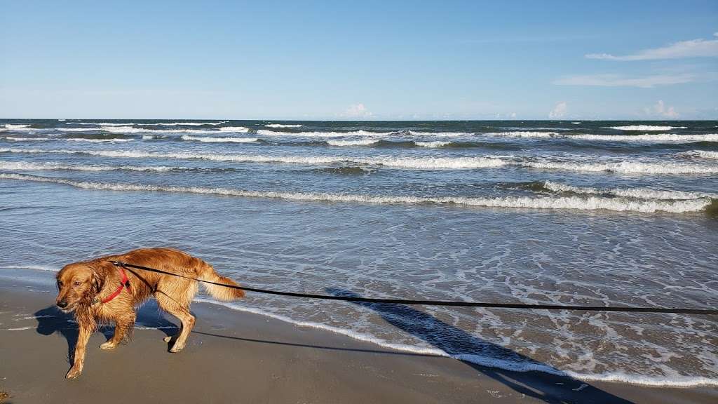 Sunny Beach | Bernice Dr, Galveston, TX 77554, USA