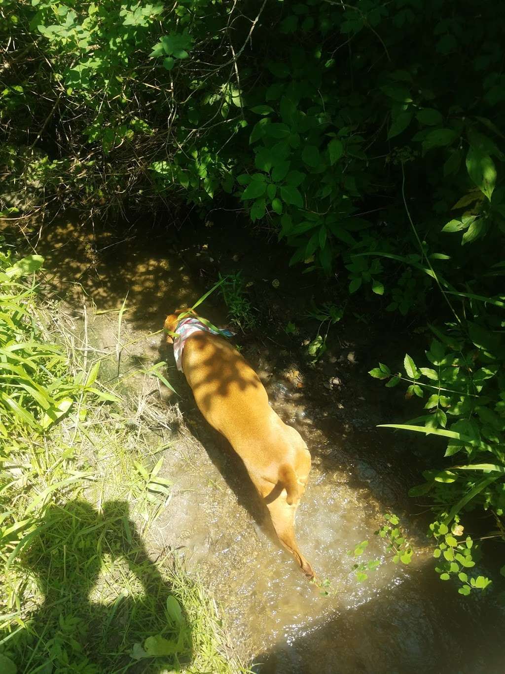 Bender Park Hiking Trail | Unnamed Road, Oak Creek, WI 53154, USA