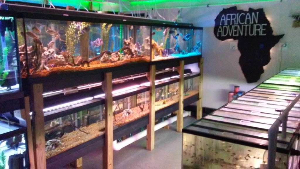 African Adventure Aquarium Services | 6901 Crawfordsville Rd, Indianapolis, IN 46214 | Phone: (317) 297-2271