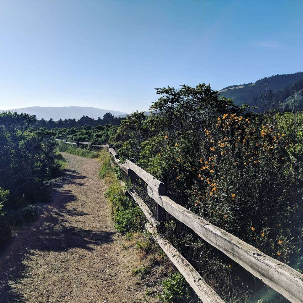 Whitegate Ranch Trailhead | Panoramic Hwy, Stinson Beach, CA 94970