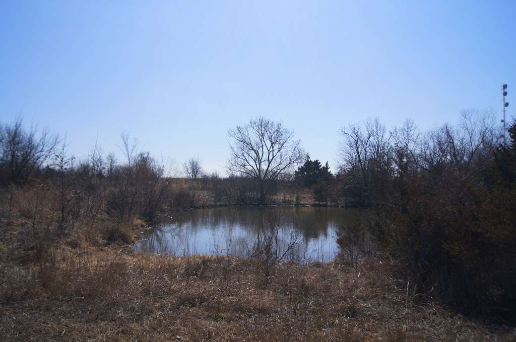 Ralph and Martha Perry Memorial State Wildlife Area | Concordia, MO 64020, USA