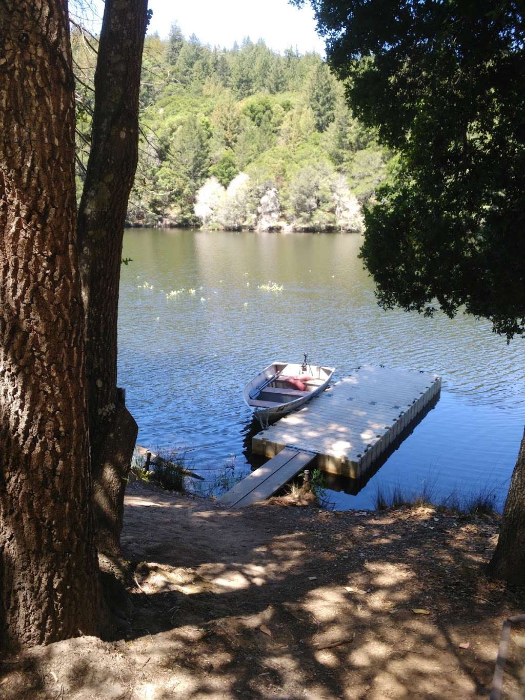 Loch Lomond Recreation Area | 100 Loch Lomond Way, Ben Lomond, CA 95005 | Phone: (831) 420-5320