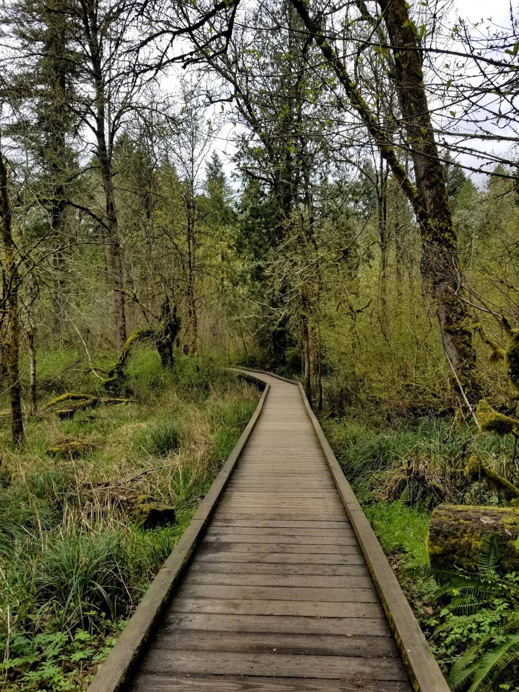 Tualatin Hills Nature Park | 15655 SW Millikan Way, Beaverton, OR 97006, USA | Phone: (503) 645-6433