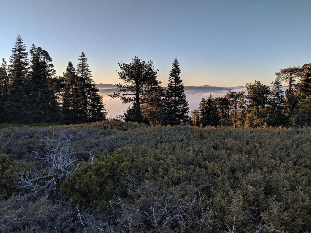 San Bernardino Peak Trail 1W07 | San Bernardino Peak Divide Trail, Angelus Oaks, CA 92305, USA | Phone: (909) 382-2882