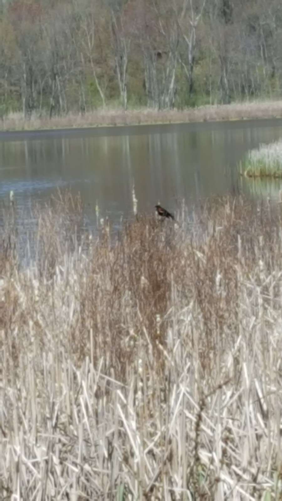 Hyper Humus Marsh | Newton, NJ 07860, USA