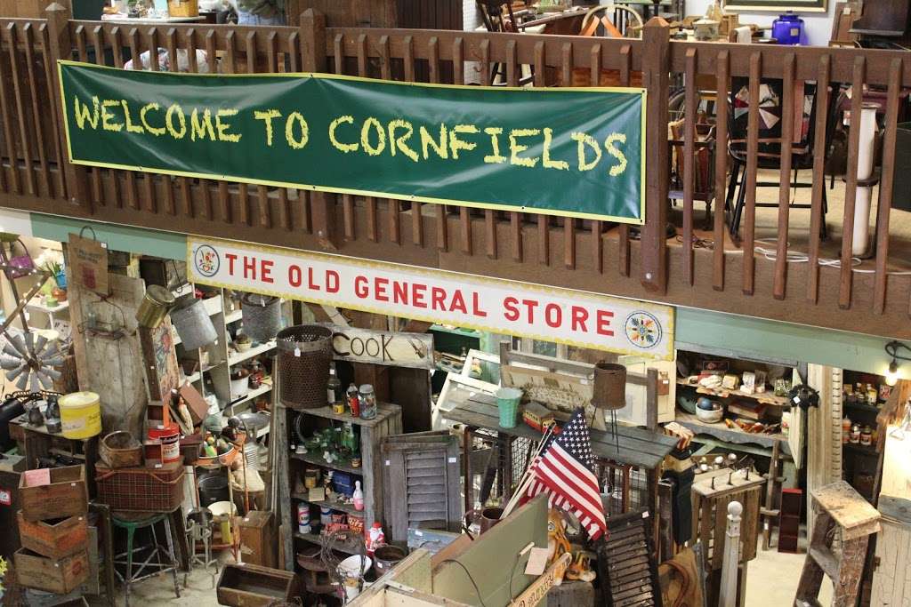 Cornfields | 245 Gristmill Rd, New Holland, PA 17557 | Phone: (717) 354-7343