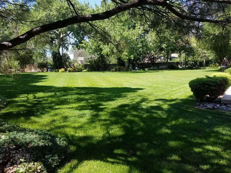 Lawn Doctor - Lakewood | 5315 W Mississippi Ave, Lakewood, CO 80226 | Phone: (303) 936-8001