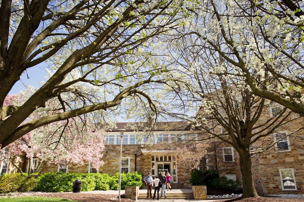 Goucher College | 1021 Dulaney Valley Rd, Baltimore, MD 21204, USA | Phone: (410) 337-6000