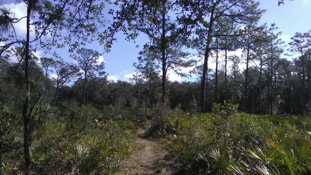 Upper Hillsborough Preserve | 43710 Co Rd 54, Kathleen, FL 33849, USA | Phone: (850) 488-4676