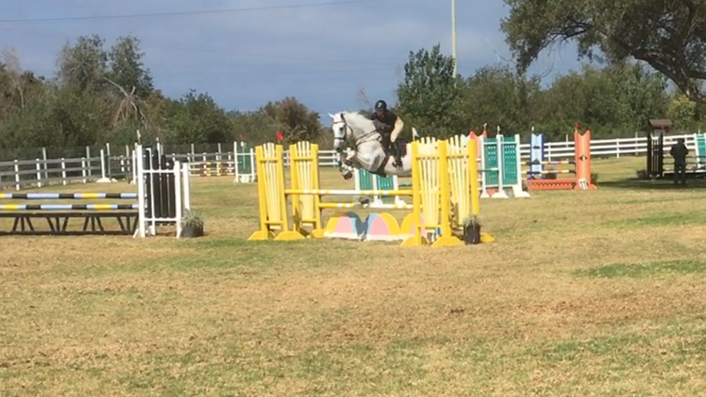 South Coast Equestrian | 5275 Del Mar Mesa Rd, San Diego, CA 92130, USA | Phone: (858) 442-2569