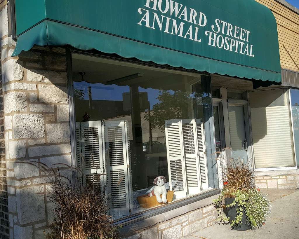 Howard Street Animal Hospital | 715 Howard St, Evanston, IL 60202, USA | Phone: (847) 475-1880