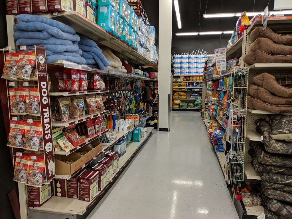 Big Lots - Furniture store | 2947, 900 Ikea Dr ste 2 ...