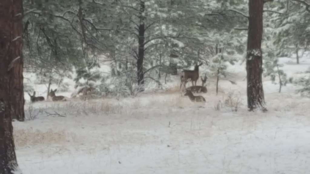 Camp Cris Dobbins | 22799 N Elbert Rd, Elbert, CO 80106, USA