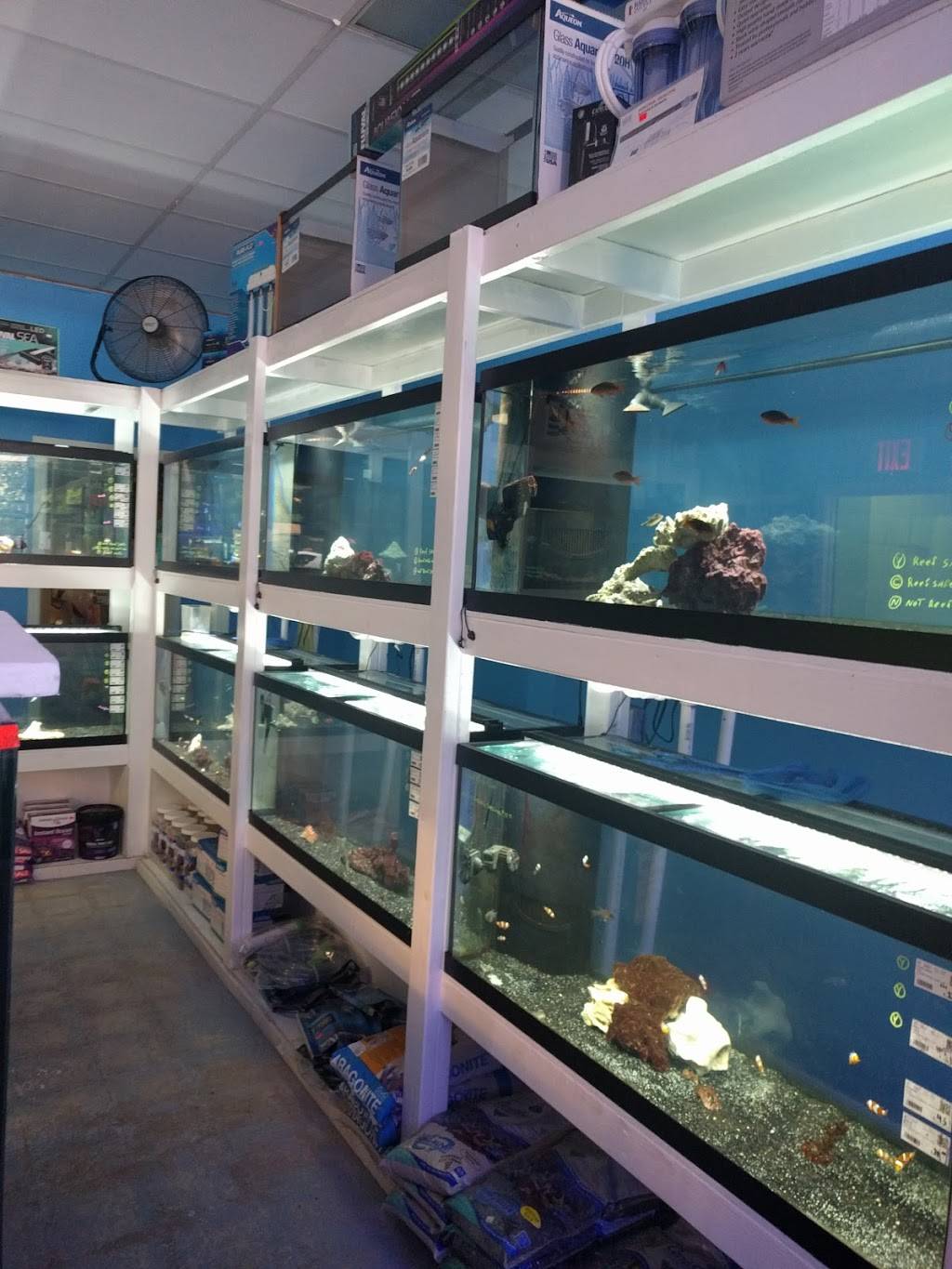 Coral Sea Aquatics | 5421 S Abbott Rd, Orchard Park, NY 14127, USA | Phone: (716) 202-1165