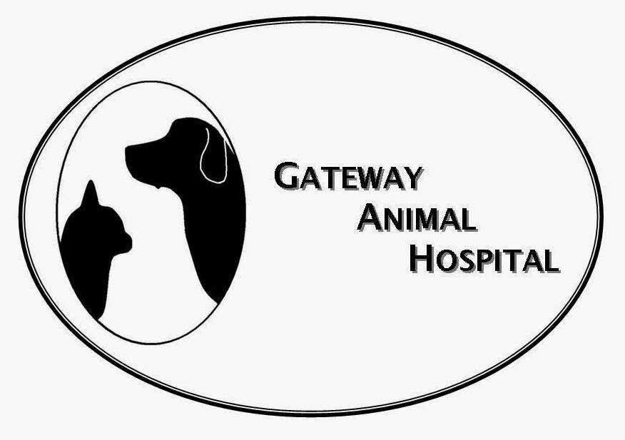 Gateway Animal Hospital | 700 Croton Rd, Wayne, PA 19087, USA | Phone: (610) 687-9600