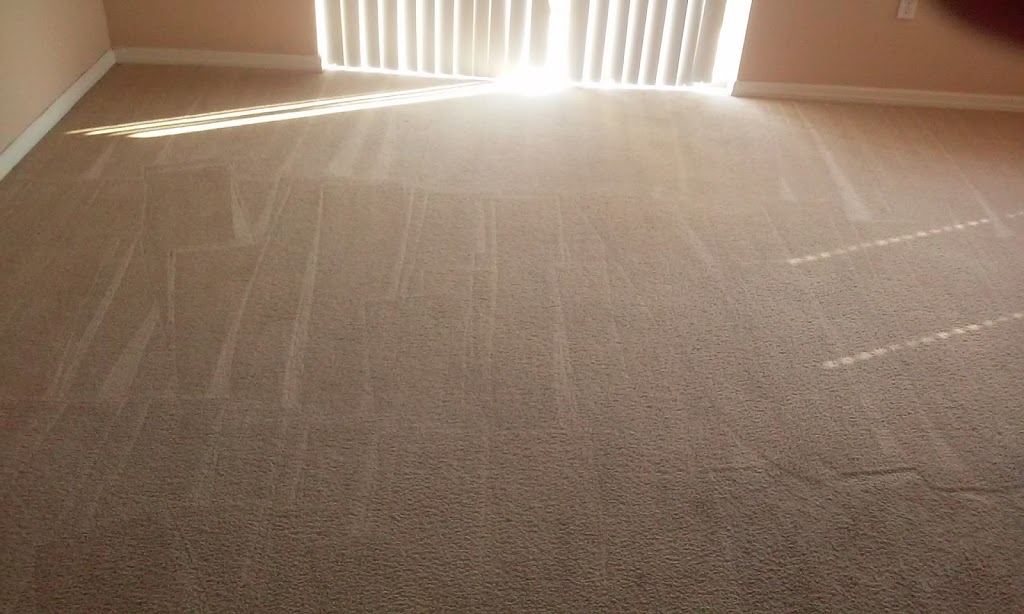 Dream Clean Orlando Carpet and Tile Grout Cleaning | 6438 Hill Rd, Orlando, FL 32810, USA | Phone: (407) 927-5829