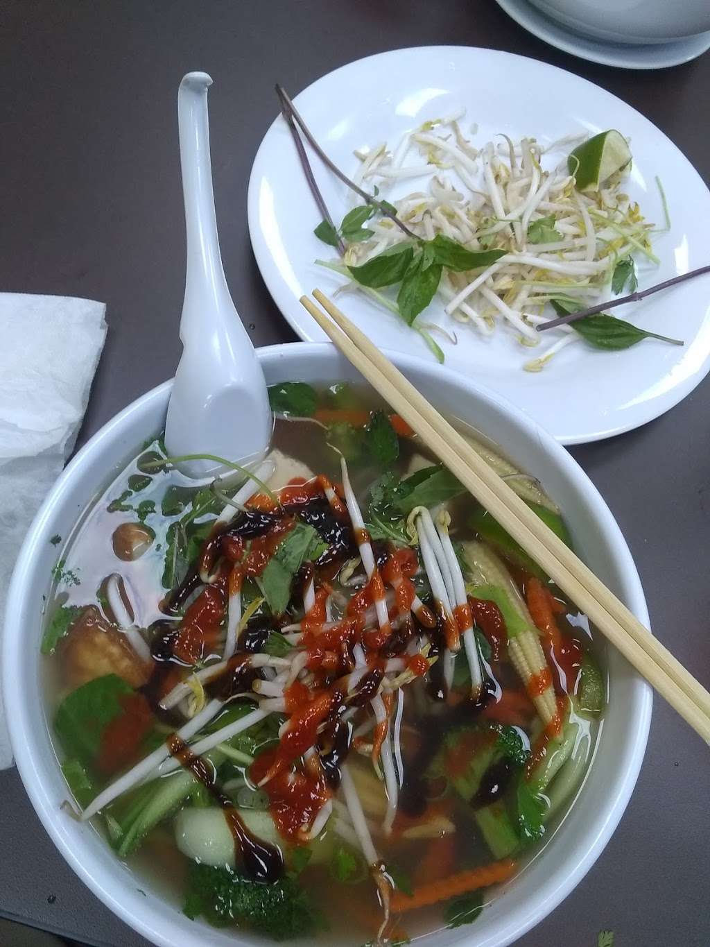 Pho Sai Gon | 11717 US-301, Oxford, FL 34484, USA | Phone: (352) 492-9423