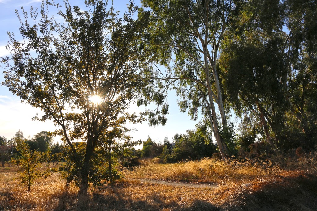 Ulistac Natural Area | 4901 Lick Mill Blvd, Santa Clara, CA 95054, USA | Phone: (408) 615-3140