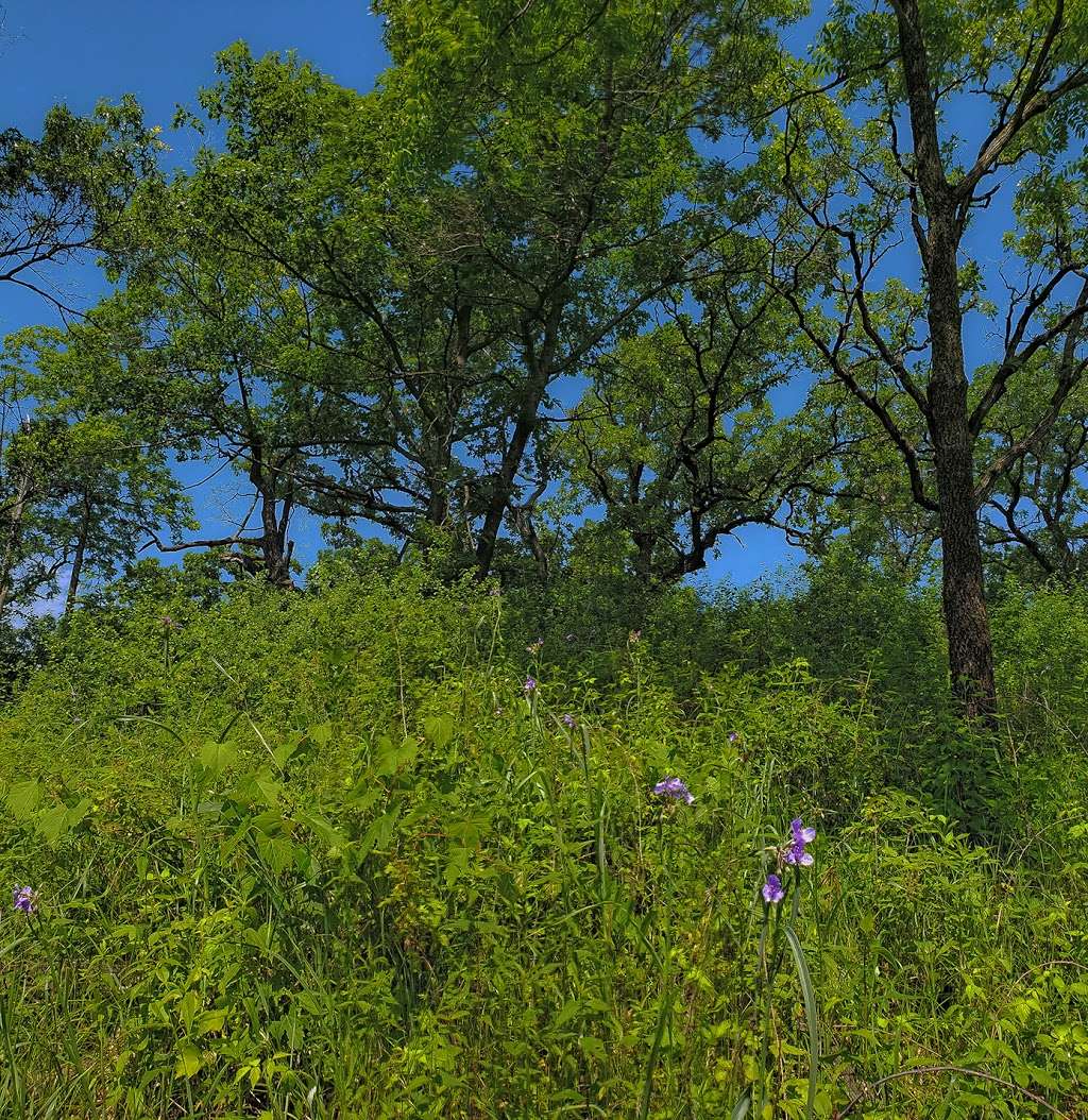 Genesee Oak Opening and Fen State Natural Area | W1969 Its a Little Rd, Mukwonago, WI 53149, USA | Phone: (608) 266-0394