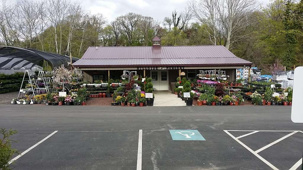 Hillside Nursery | 110 Jackson St, Clifton Heights, PA 19018, USA | Phone: (610) 626-2826