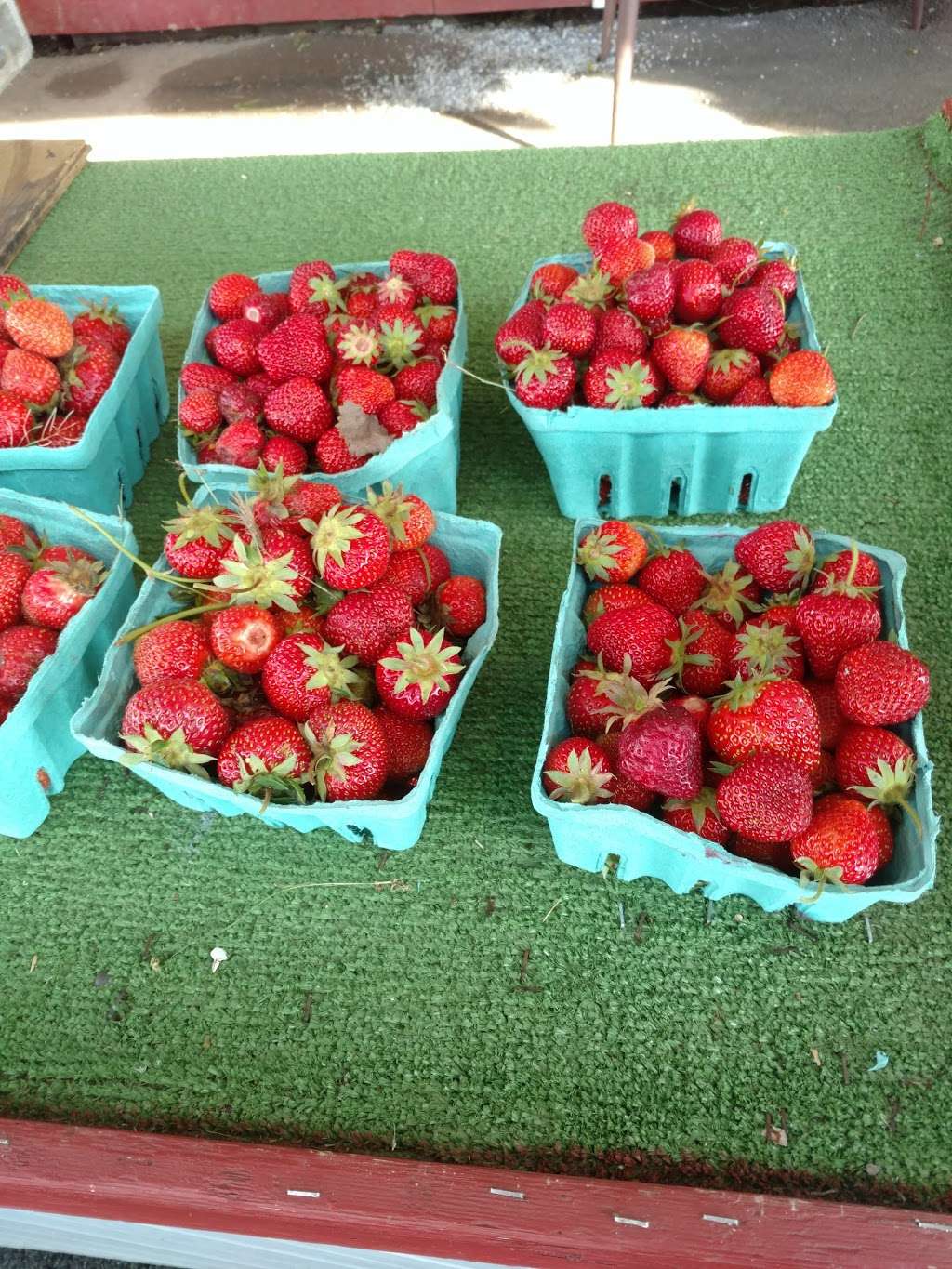 Crones Roadside Stand II | 310 E Canal Rd, York, PA 17404, USA | Phone: (717) 266-0169