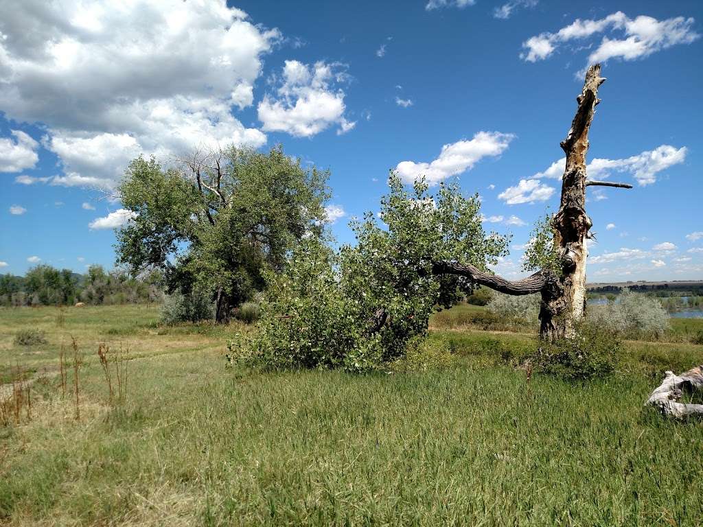 Standley Lake Regional Park | 8600 Simms St, Westminster, CO 80021, USA