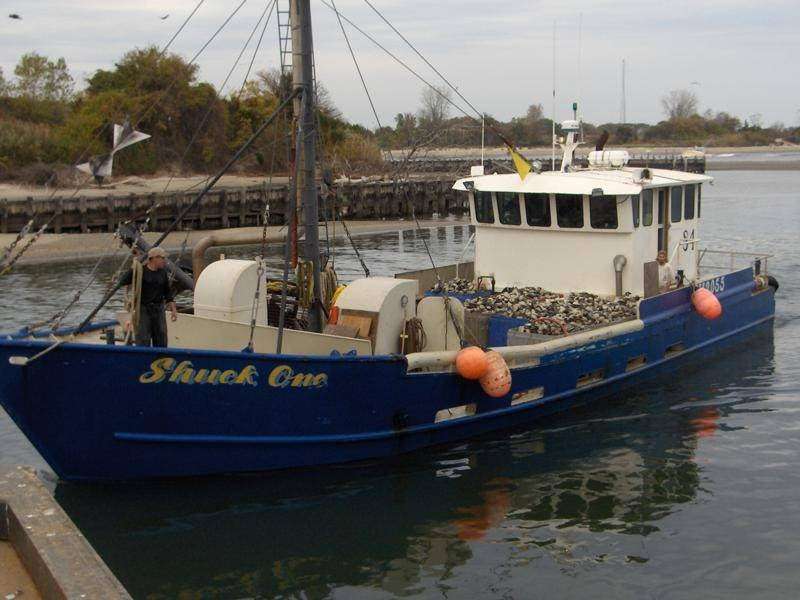 Shuck One ( Local and Dependable Bait clam distributors | 301 channel drive,We are the First slip by the crane., We support local stripper fishermen(serious ones), Point Pleasant Beach, NJ 08724 | Phone: (732) 504-5075