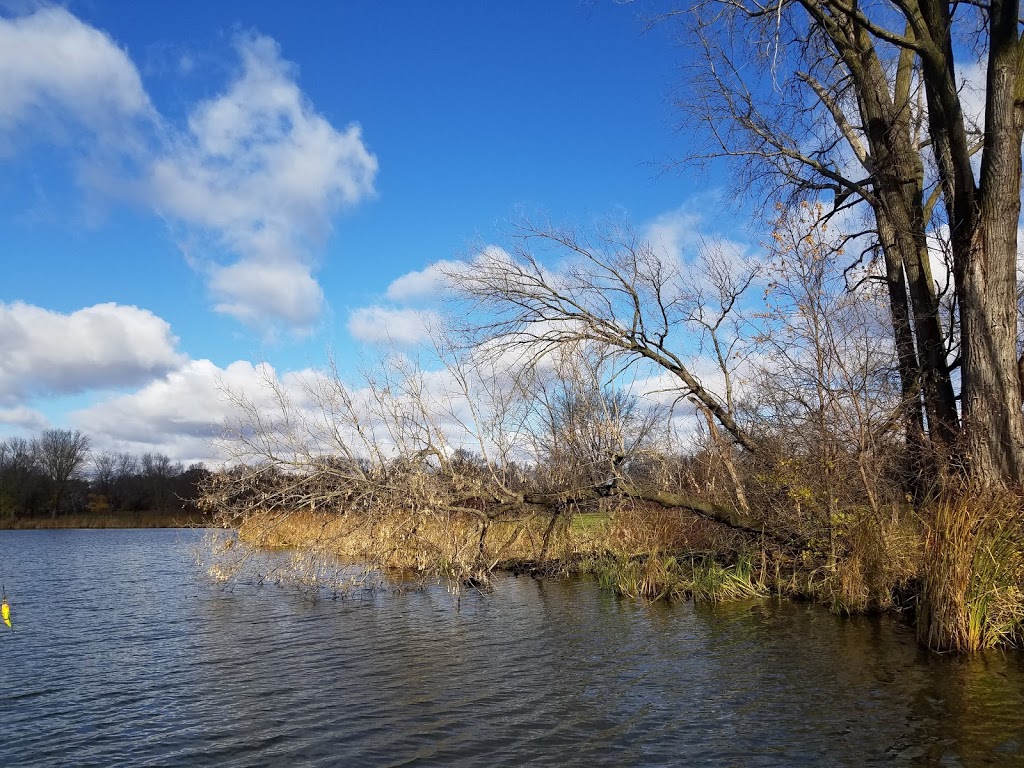 Shields Lake Park | Forest Lake, MN 55025, USA | Phone: (651) 209-9723