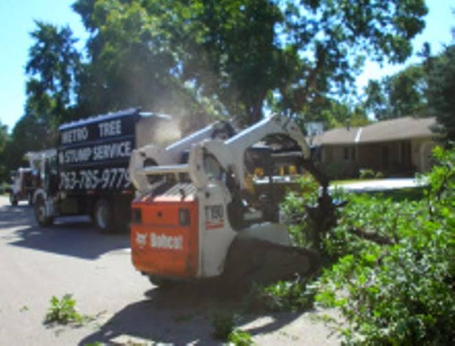 Metro Tree & Stump Service | 10101 Naples St NE, Blaine, MN 55449, USA | Phone: (763) 785-9779