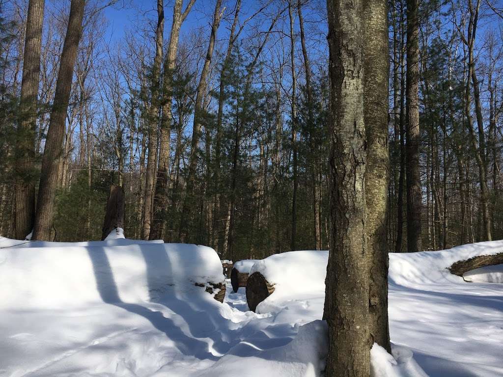 Appalachian Trailhead | Bendersville Ln, Gardners, PA 17324, USA