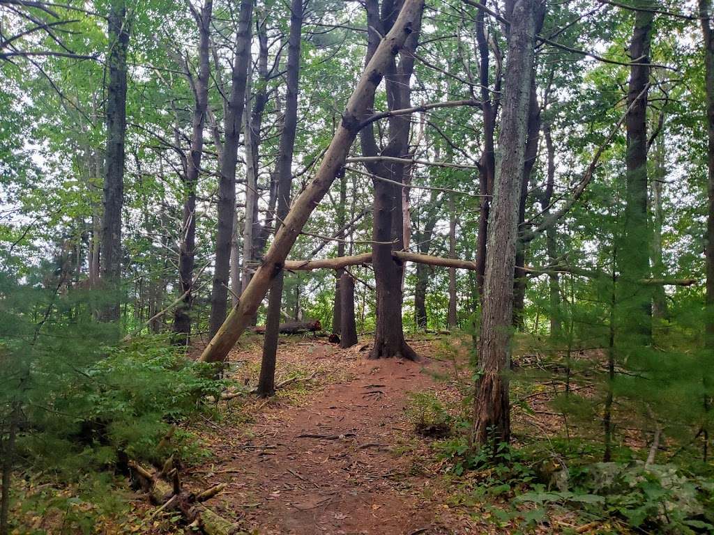 Little River Trail | Hale St, Newburyport, MA 01950, USA