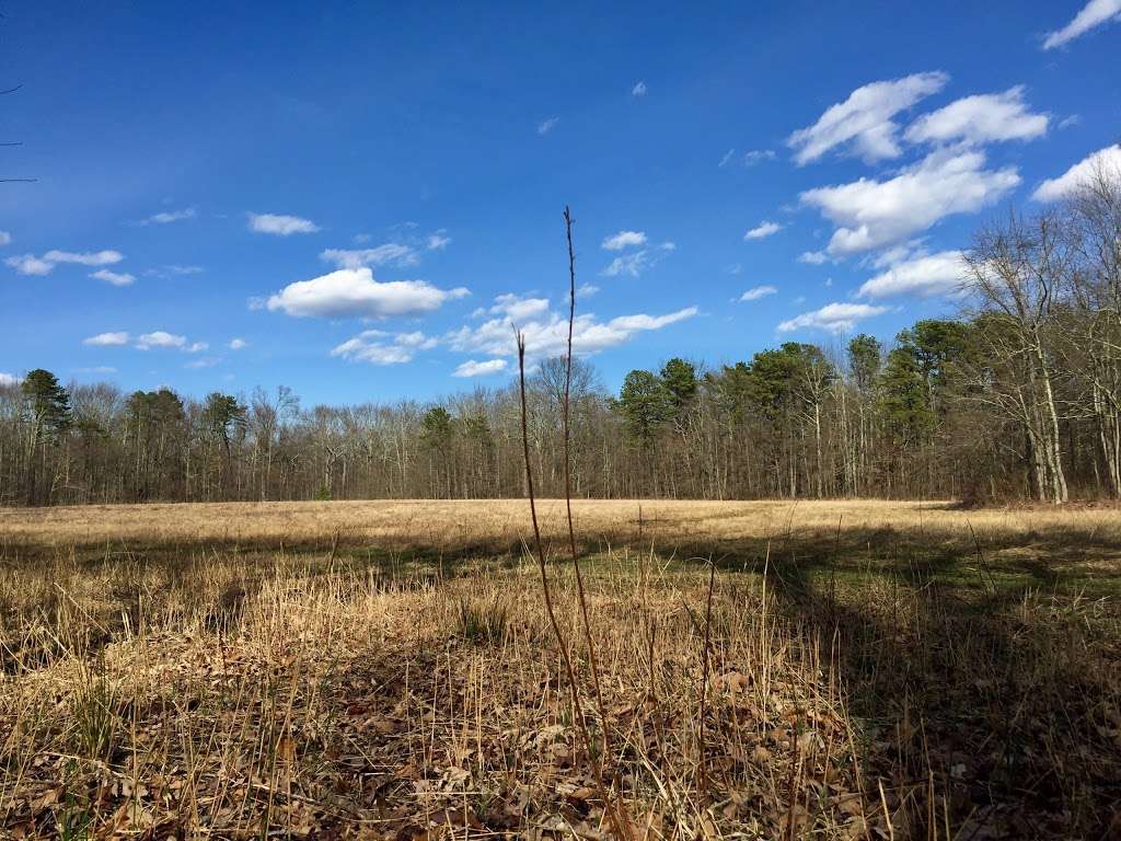 Bear Swamp Natural Area | Howell, NJ 07731