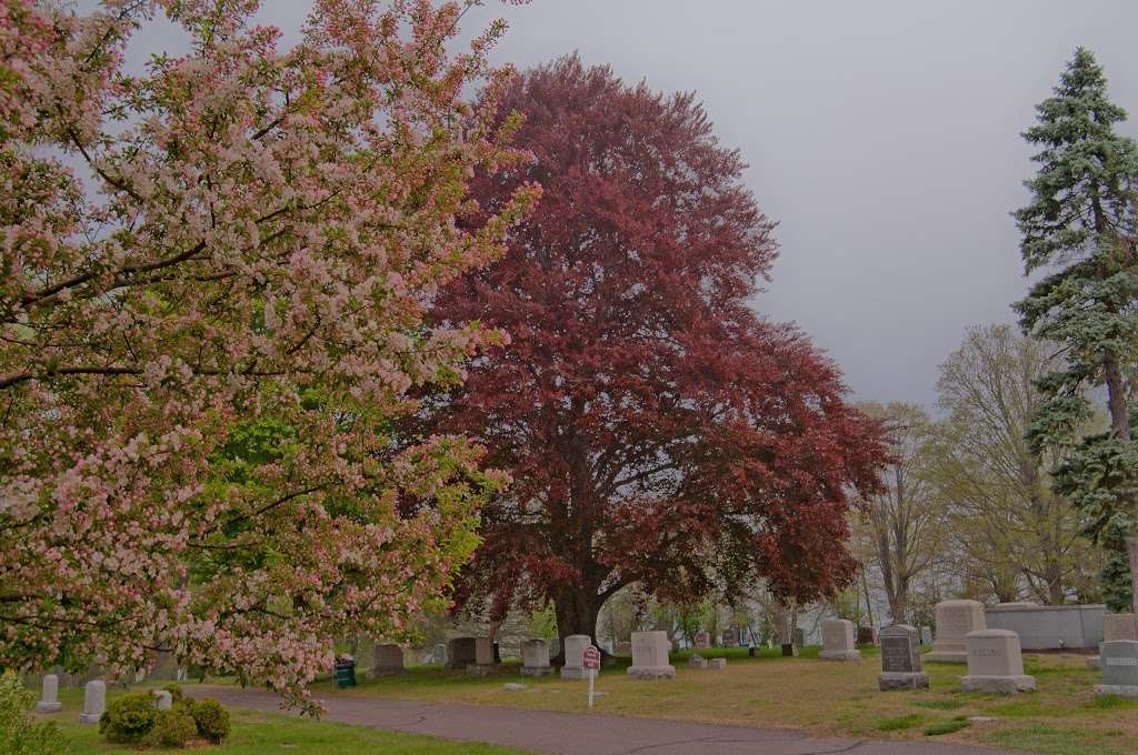 Lakeside Cemetery | 501 North Ave, Wakefield, MA 01880 | Phone: (781) 246-2256