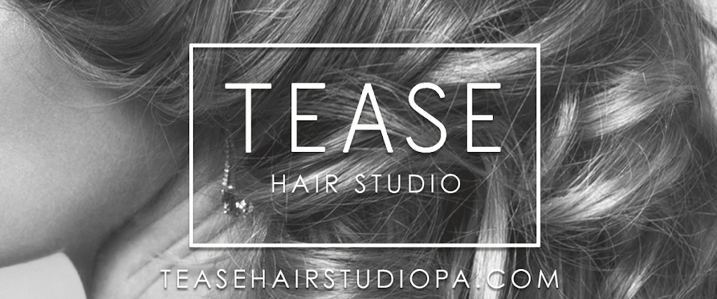 Tease Hair Studio | Summit Center Shopping Center, 686 W St Rd, Feasterville-Trevose, PA 19053, USA | Phone: (215) 322-6677