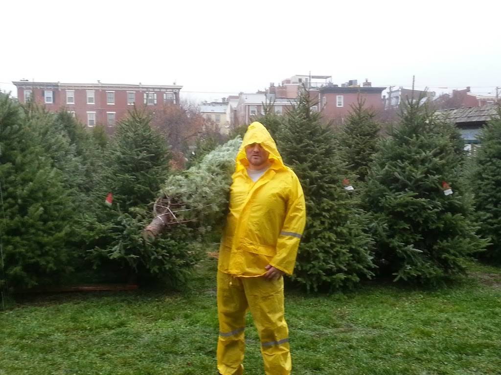 Philly Christmas Trees | Sedgley Dr &, N Lemon Hill Dr, Philadelphia, PA 19130, USA | Phone: (215) 872-1614