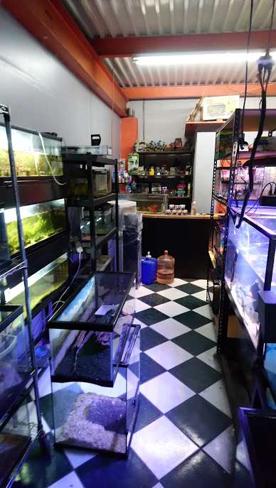 EL ACUARIO | av, Padre Salvatierra, Salvatierra, 22607 Tijuana, B.C., Mexico | Phone: 664 334 3968