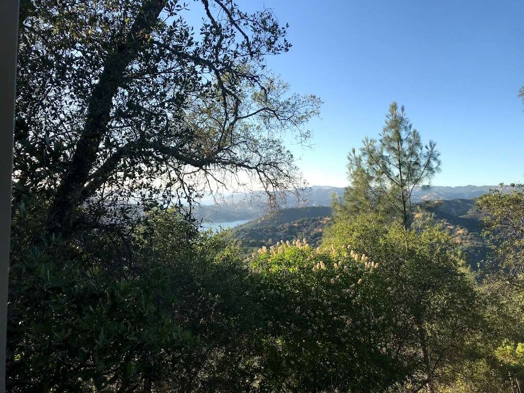 Quail Ridge Natural Reserve | 7001 CA-128, Napa, CA 94558, USA | Phone: (707) 966-6949