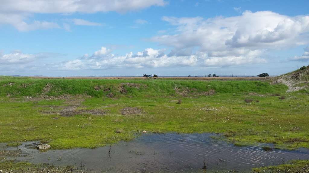 Bay Point Regional Shoreline | end of McAvoy Road, Bay Point, CA 94565, USA | Phone: (888) 327-2757