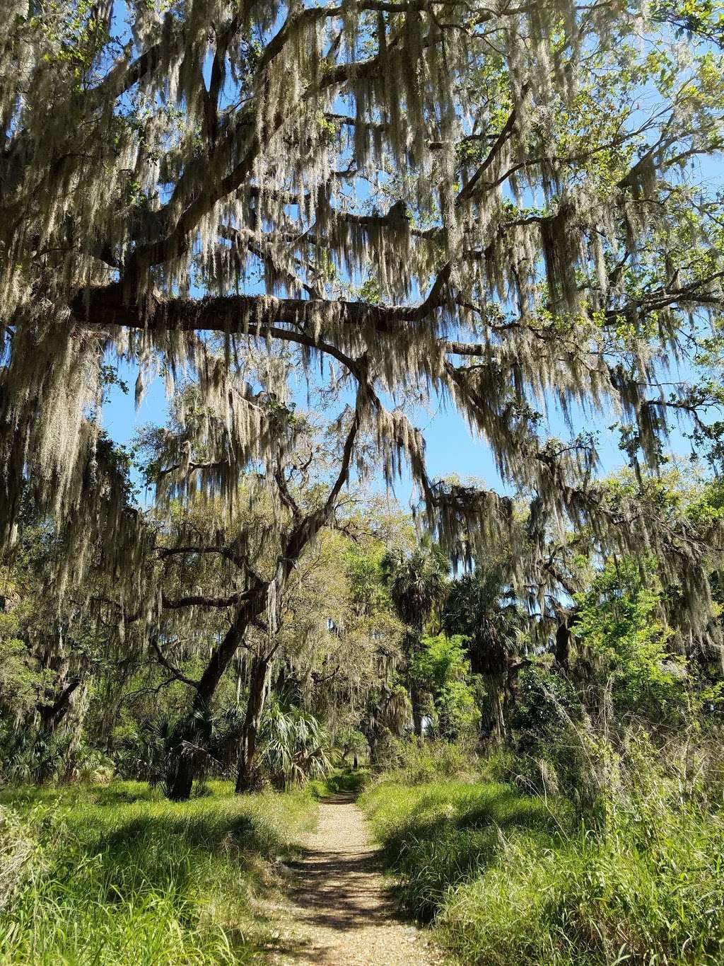 Polks Nature Discovery Center | 4399 Winter Lake Rd, Lakeland, FL 33803, USA | Phone: (863) 668-4673