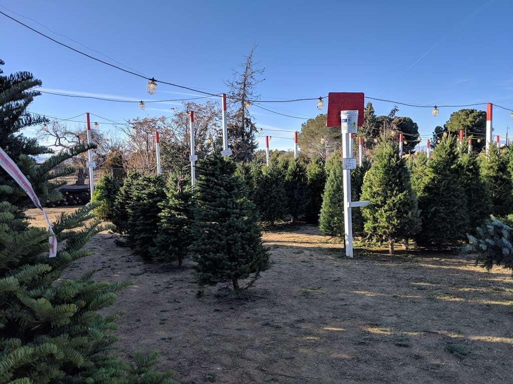 Bruces Christmas Trees | 5008 W Ave L, Lancaster, CA 93536, USA