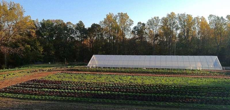 Origins Farm | 7349 Woodville Ln, Hanover, VA 23069, USA | Phone: (804) 559-8833