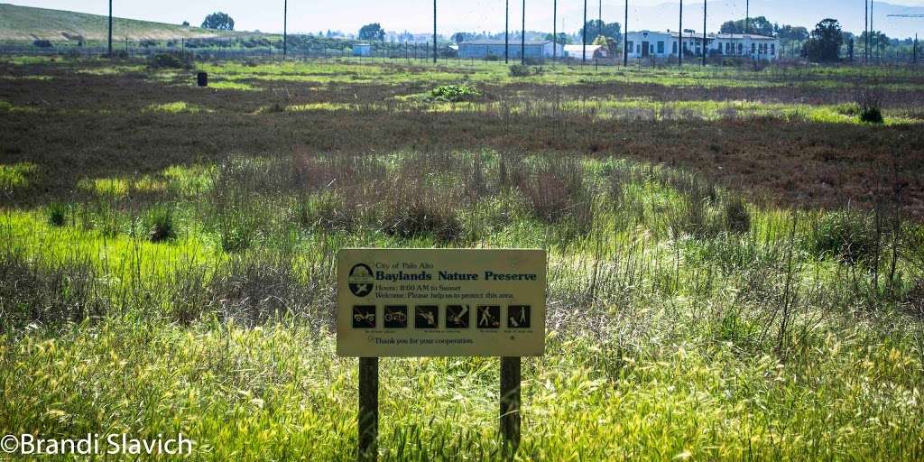 Lucy Evans Baylands Nature Interpretive Center (The City of Palo | 2775 Embarcadero Rd, Palo Alto, CA 94303 | Phone: (650) 329-2506