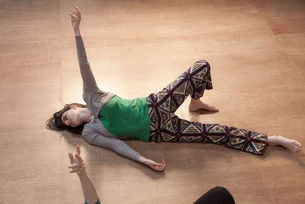 Dayana Pereira Feldenkrais Method | 7137 Old Easton Rd Suite 101, Pipersville, PA 18947, USA | Phone: (917) 297-2733