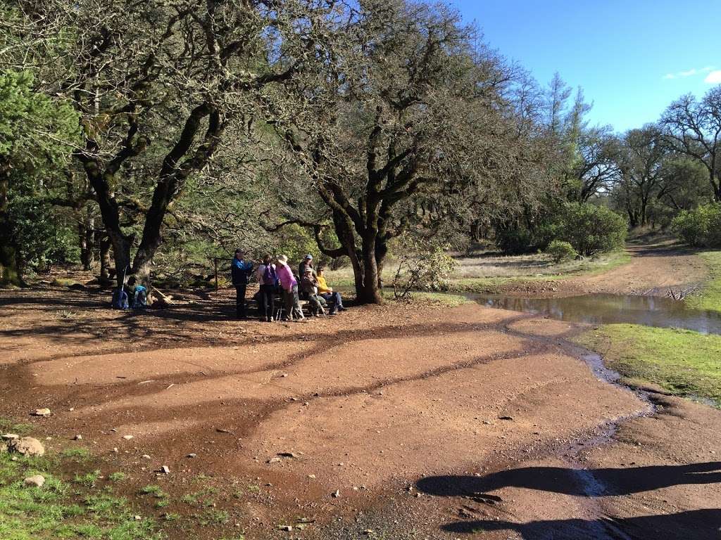 :Annadel Park: Parking for Cobblestone Loop Trail | Your directions send people to a private residence on, Skycrest Ct, Santa Rosa, CA 95405, USA